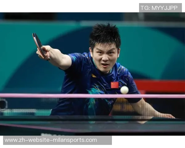 张本智和与樊振东激战乒乓球赛场谁能笑到最后的精彩对决分析